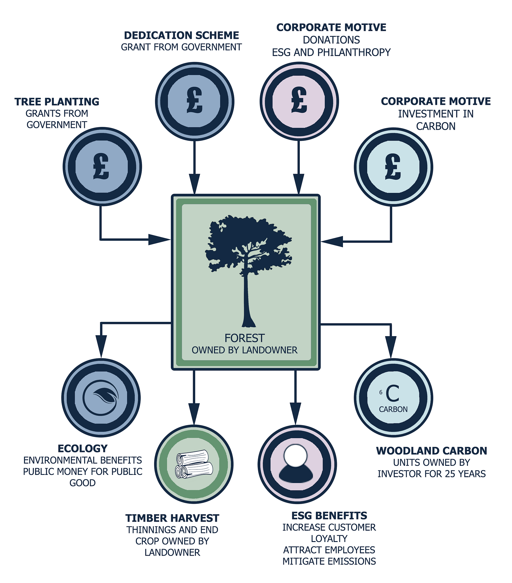 LANDOWNERS HOW IT WORKS Forest Canopy Foundation